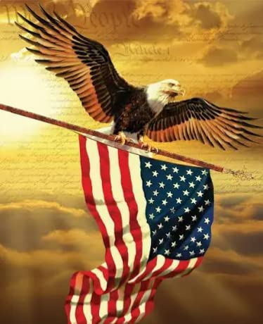 American Eagle Soaring with The American Flag Edible Cake Topper-1/4