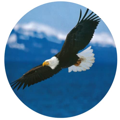 Bald Eagle Ceramic Car Coaster Set 2.56" (2 Pack)