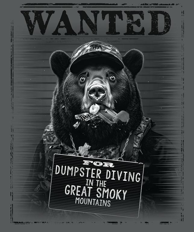 Poppie Badges -- POPS -- Bears!