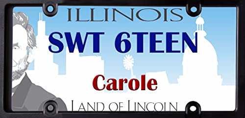 Sweet Sixteen license plates 16th Birthday Party Edible Cake topper for 1/4 sheet cake You Select the State