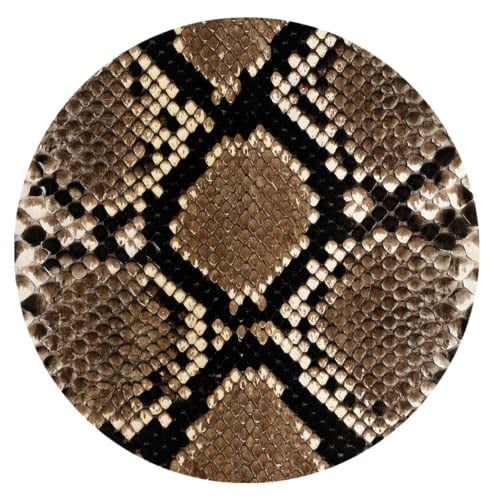 Snake Skin Car Coasters, Ceramic Stone Drinks Coaster Set for Women Man 2.56" (2 Pack)