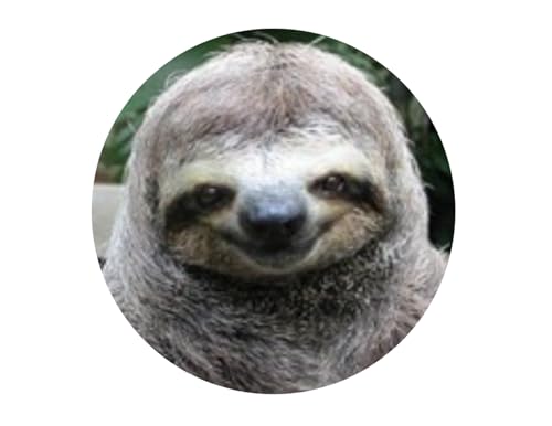 Smiling Sloth(Animal) Edible Cake Topper- 8" Round