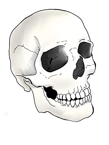 Skull Edible Icing Image Cake cupcake topper for 1/4 sheet cake or larger