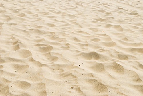 Real Beach Sand Edible Icing Image for Cake or Cupcake Cookie Topper