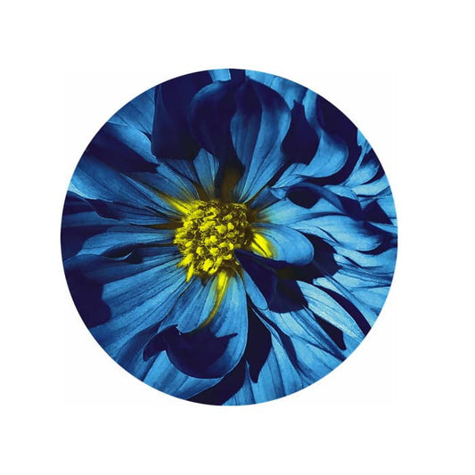 Blue Flower Ceramic Car Coaster Set 2.56" (2 Pack)