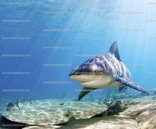 8" ~ Bull Shark Birthday ~ Edible Cake/Cupcake Topper!!!