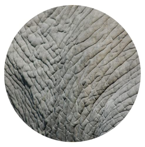 Elephant Hide Car Coasters, Ceramic Stone Drinks Coaster Set for Women Man 2.56" (2 Pack)