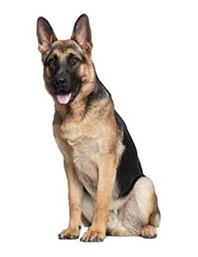 German Shepherd Dog Breed Edible Cake topper
