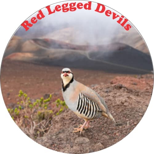 Chukar Red Legged Devils Ceramic Car Coaster Set 2.56" (2 Pack)