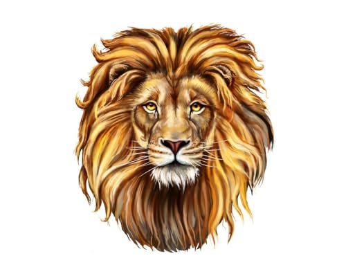 Lion with a Full Mane Edible Cake Topper- 1/4 Sheet