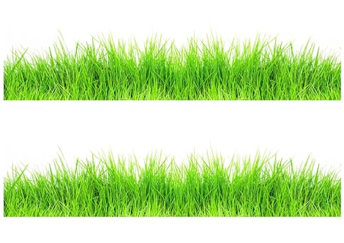 Grass Edible Image cake border 2 Strips per sheet 3.5x10.5 inchs