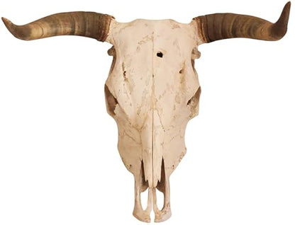 Longhorn Skull Edible Icing Sheets- Assorted Image Cake Toppers-Frosting Sheets- Cookies- Cupcake Toppers